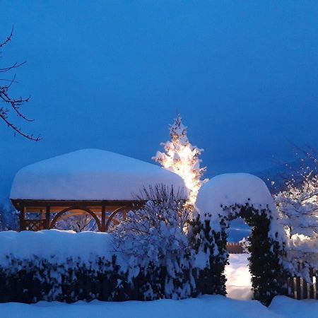 B&B Benvenuti - Dolomiti Di Brenta Tassullo Exterior foto